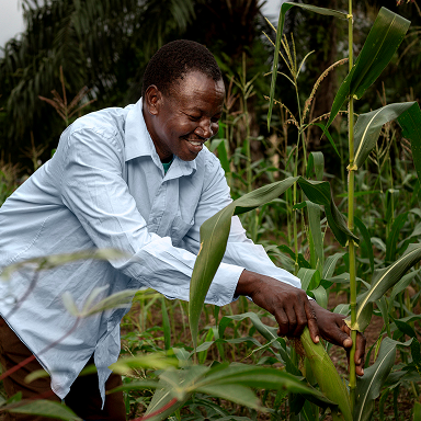 Farmer in Field